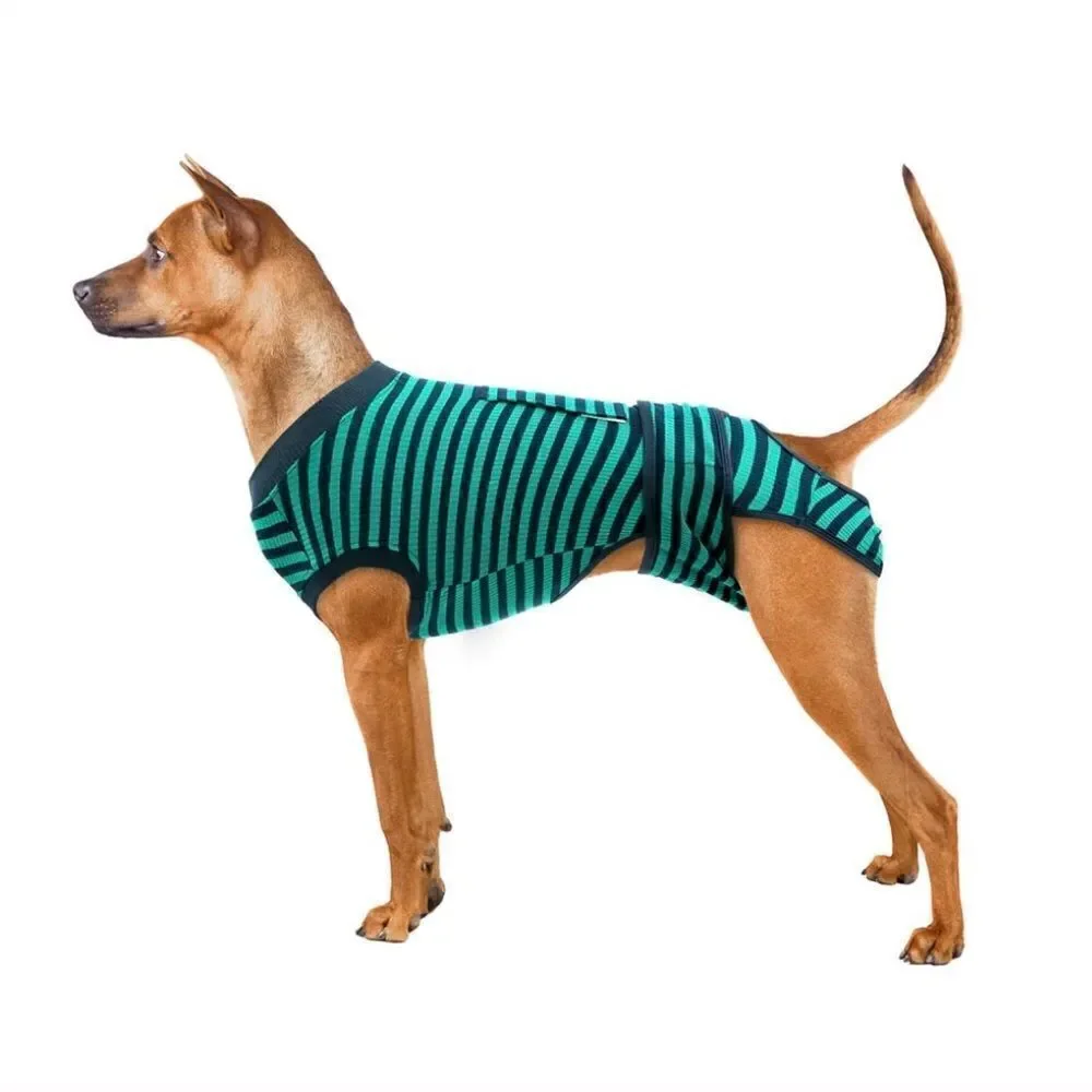 Kuoser surgical dog